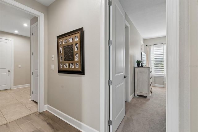 29534 GINNETTO DRIVE, Wesley Chapel, FL 33543