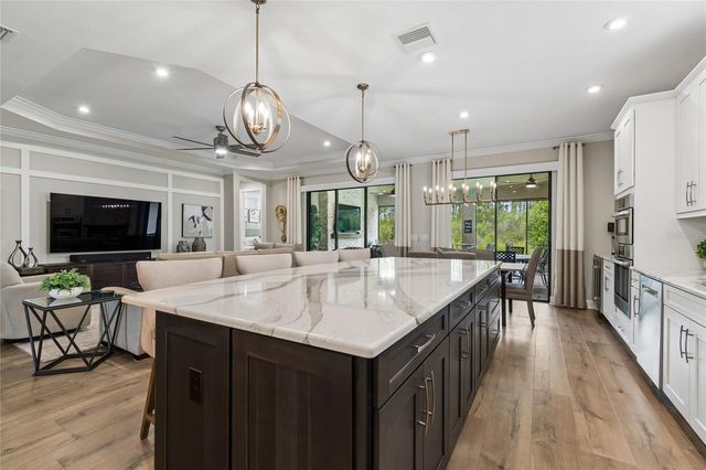 29534 GINNETTO DRIVE, Wesley Chapel, FL 33543