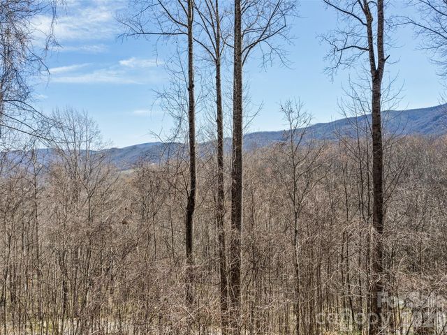 401 Tipstill Cove, Waynesville, NC 28786