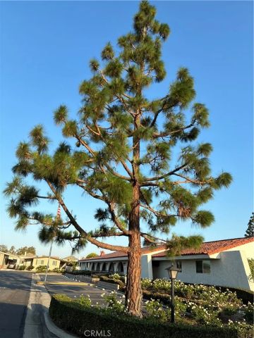 6741 Lincoln 37, Buena Park, CA 90620