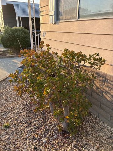 6741 Lincoln 37, Buena Park, CA 90620
