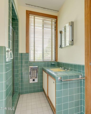 209 Maple Tree Drive, Bristol, TN 37620