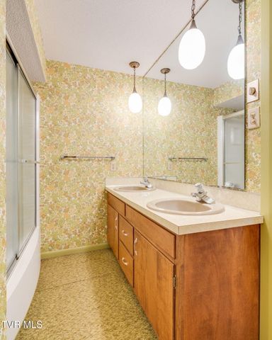 209 Maple Tree Drive, Bristol, TN 37620