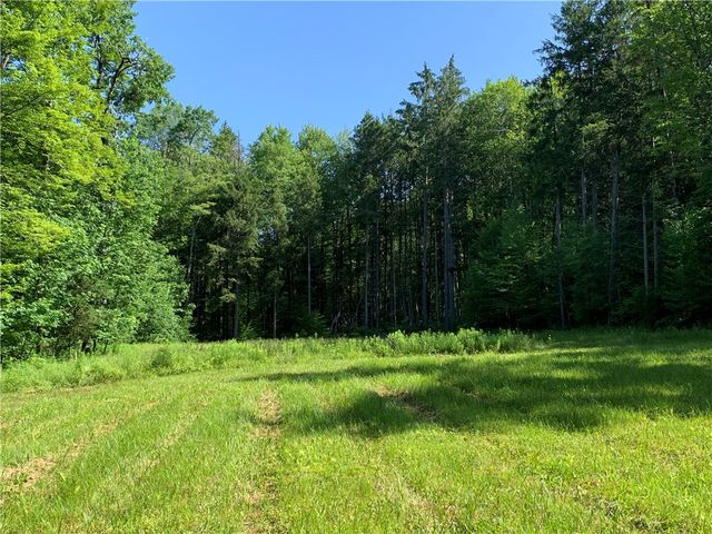 9191 Furman Mills Road, Brookfield, NY 13485