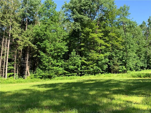 9191 Furman Mills Road, Brookfield, NY 13485