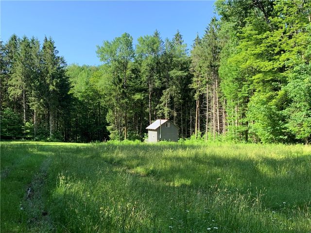 9191 Furman Mills Road, Brookfield, NY 13485