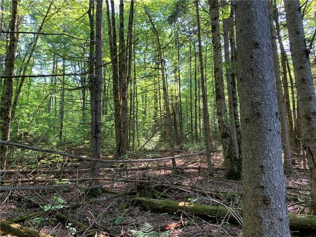 9191 Furman Mills Road, Brookfield, NY 13485