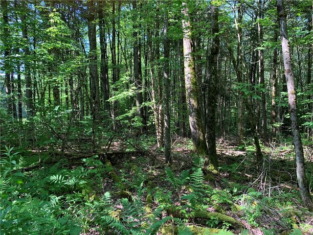 9191 Furman Mills Road, Brookfield, NY 13485