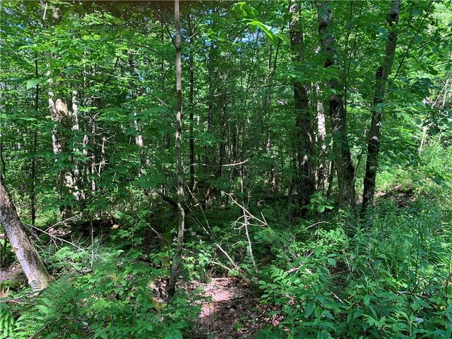 9191 Furman Mills Road, Brookfield, NY 13485