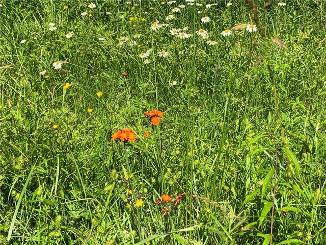 9191 Furman Mills Road, Brookfield, NY 13485