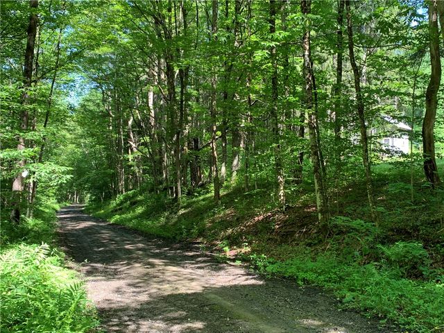 9191 Furman Mills Road, Brookfield, NY 13485