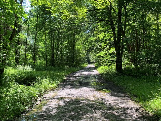 9191 Furman Mills Road, Brookfield, NY 13485