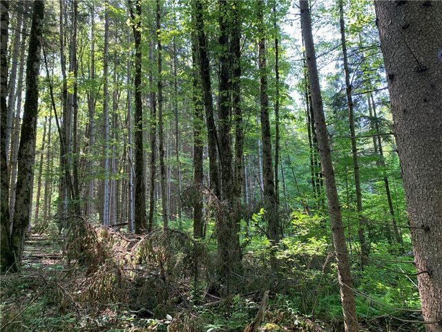 9191 Furman Mills Road, Brookfield, NY 13485