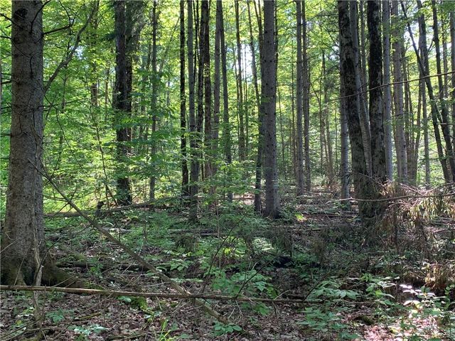 9191 Furman Mills Road, Brookfield, NY 13485