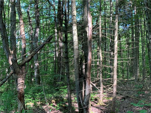 9191 Furman Mills Road, Brookfield, NY 13485