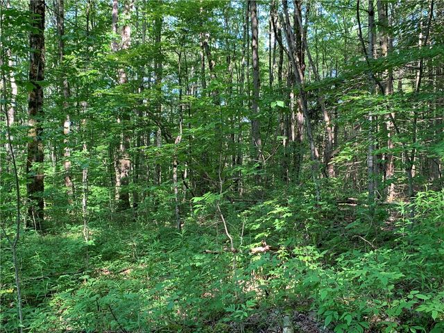 9191 Furman Mills Road, Brookfield, NY 13485