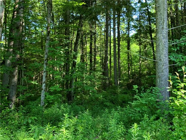 9191 Furman Mills Road, Brookfield, NY 13485