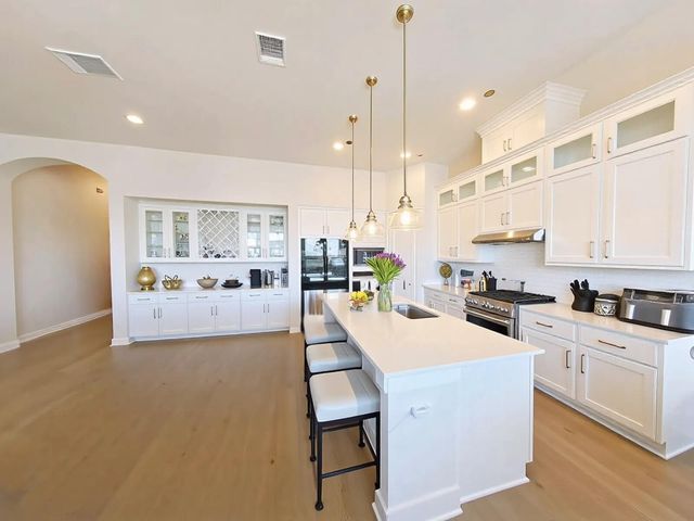 117 Missouri Primrose LN, San Marcos, TX 78666