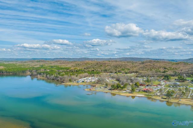 1520 Murphy Hill Road, Langston, AL 35755