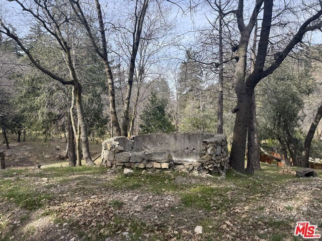 21801 Plunge Road, Cedarpines Park, CA 92322
