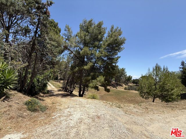 22030 Saddlepeak, Topanga (los Angeles), CA 90290
