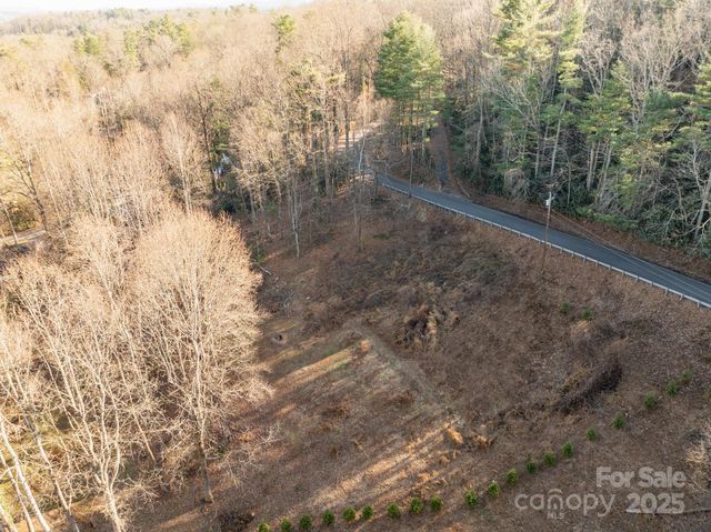 TBD Davis Mountain Road, Laurel Park, NC 28739