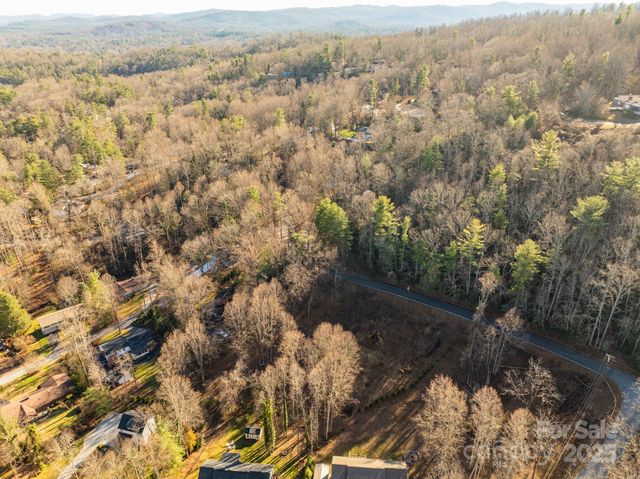 TBD Davis Mountain Road, Laurel Park, NC 28739