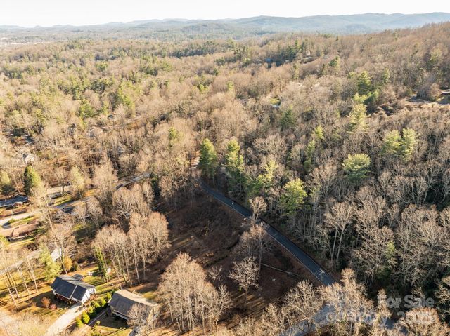 TBD Davis Mountain Road, Laurel Park, NC 28739