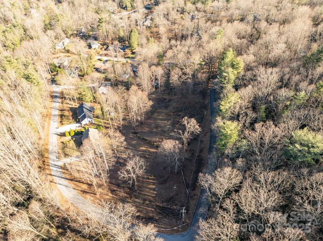 TBD Davis Mountain Road, Laurel Park, NC 28739