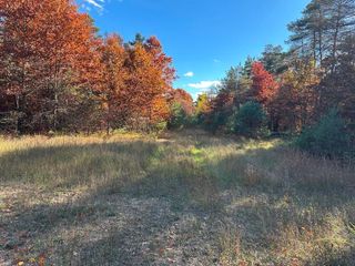 58 Acres E Cranberry Lake Road, Harrison, MI 48625