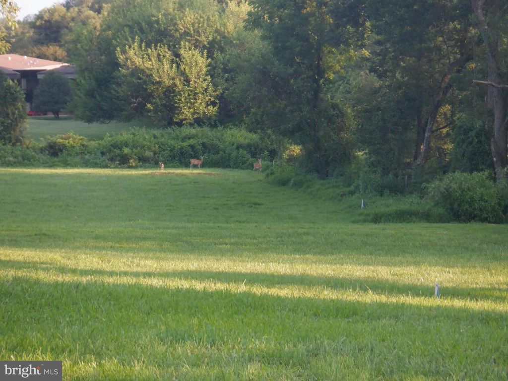 2938 ROUTE 97, Glenwood, MD 21738