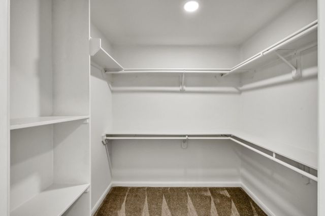 3 Briarwood Drive, Conroe, TX 77301