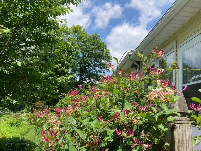 16 Saybrook Cir, South Hadley, MA 01075