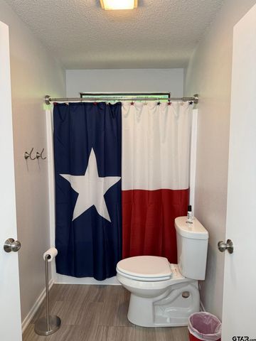 2922 Holly Trail East, Holly Lake Ranch, TX 75765