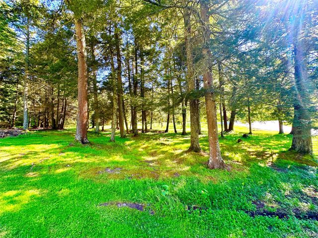 12 Mesmer, Callicoon, NY 12723