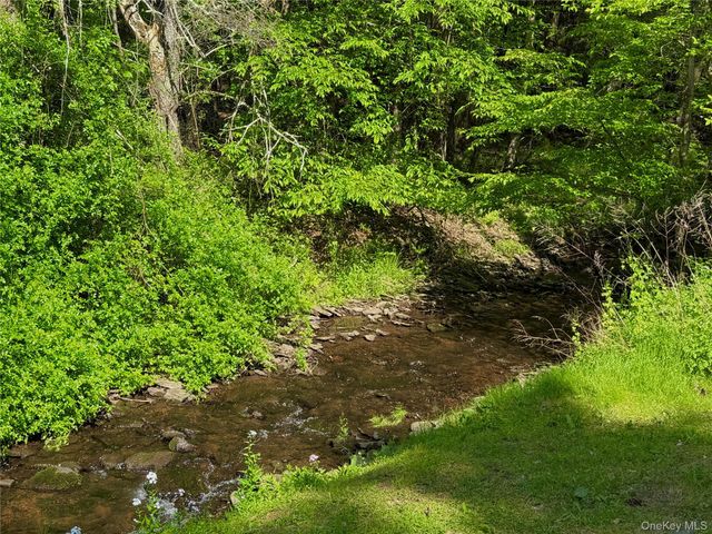 12 Mesmer, Callicoon, NY 12723
