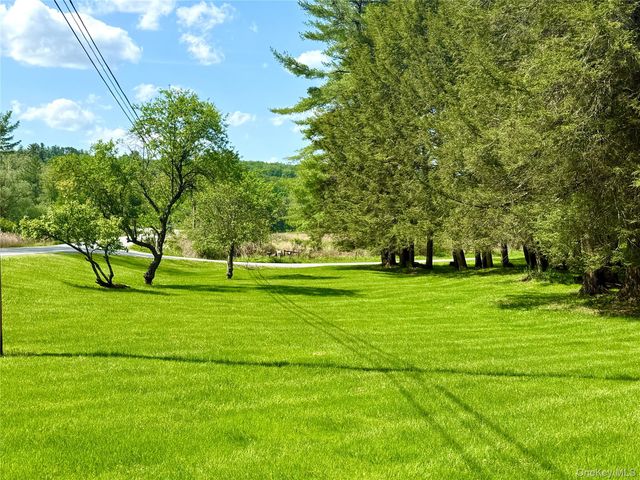 12 Mesmer, Callicoon, NY 12723