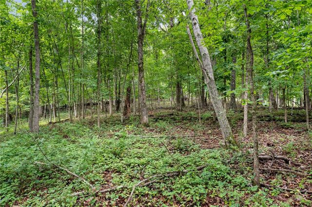 16969 Posy Mountain Road, Rogers, AR 72756