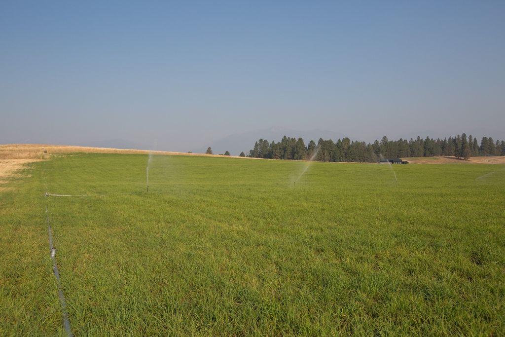 1018 Majestic Pine Place, Stevensville, MT 59870 photo 1