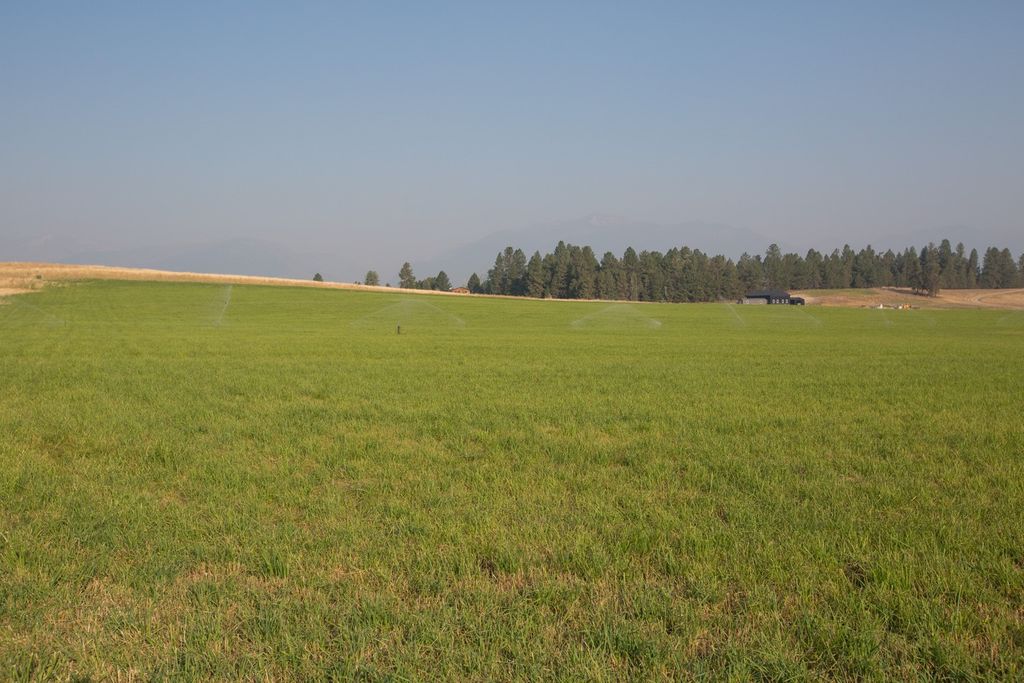 1018 Majestic Pine Place, Stevensville, MT 59870 photo 5
