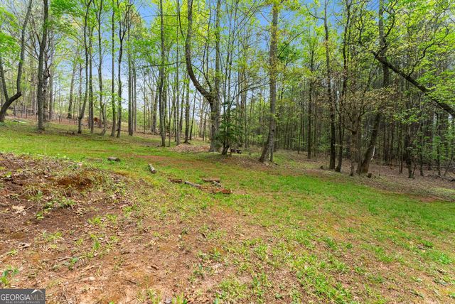 656 Stanley Nix Road, Cleveland, GA 30528