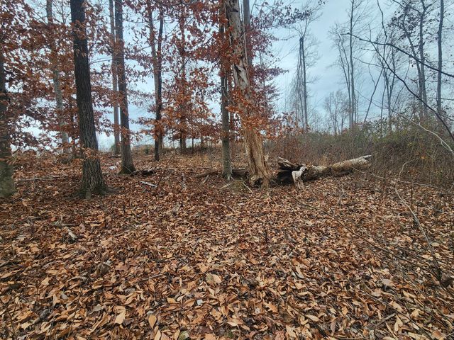 0 Peninsulas Edge Dr, S, Smithville, TN 37166