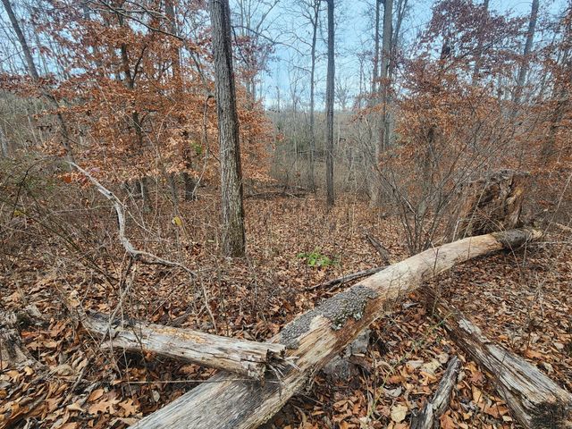 0 Peninsulas Edge Dr, S, Smithville, TN 37166