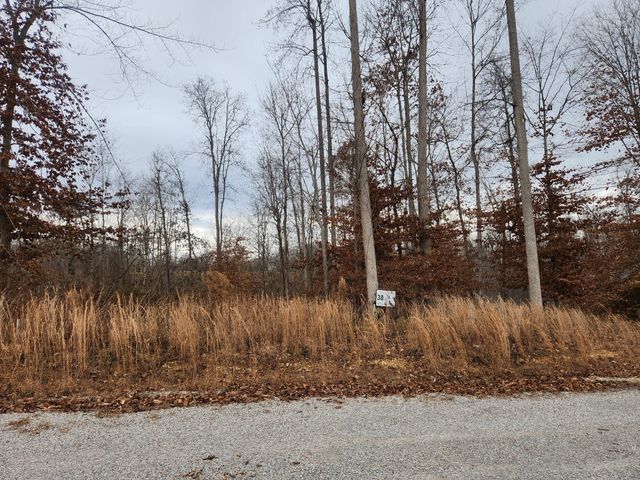 0 Peninsulas Edge Dr, S, Smithville, TN 37166