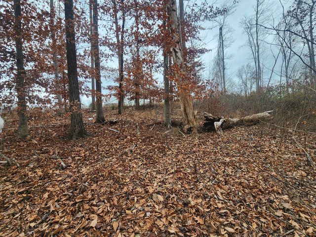 0 Peninsulas Edge Dr, S, Smithville, TN 37166