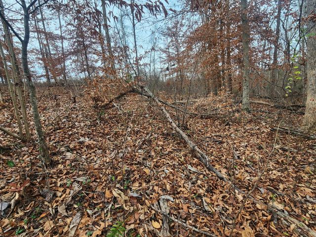 0 Peninsulas Edge Dr, S, Smithville, TN 37166