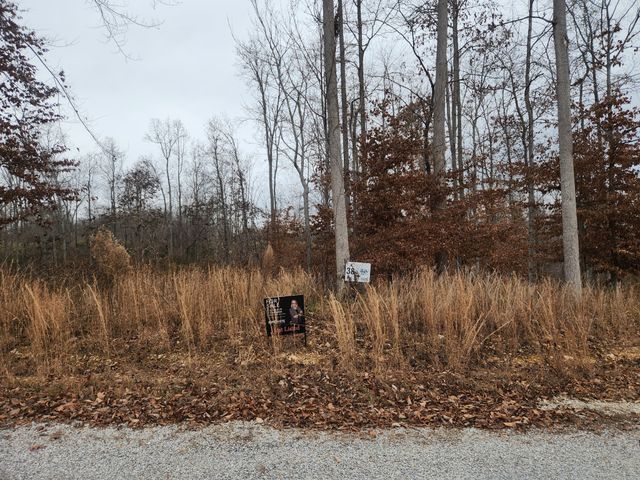 0 Peninsulas Edge Dr, S, Smithville, TN 37166