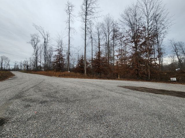 0 Peninsulas Edge Dr, S, Smithville, TN 37166