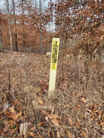 0 Peninsulas Edge Dr, S, Smithville, TN 37166