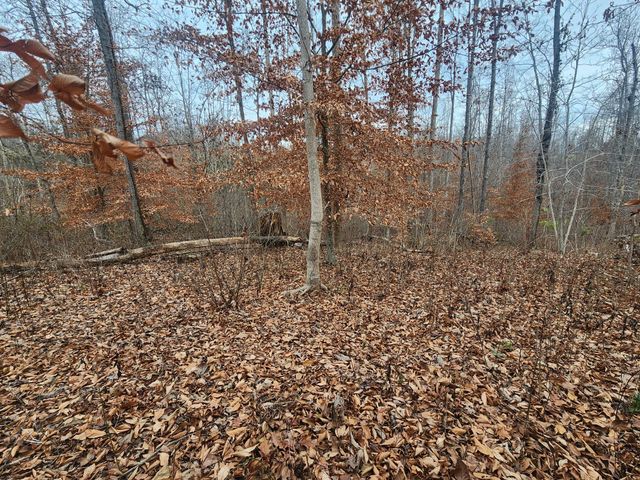 0 Peninsulas Edge Dr, S, Smithville, TN 37166